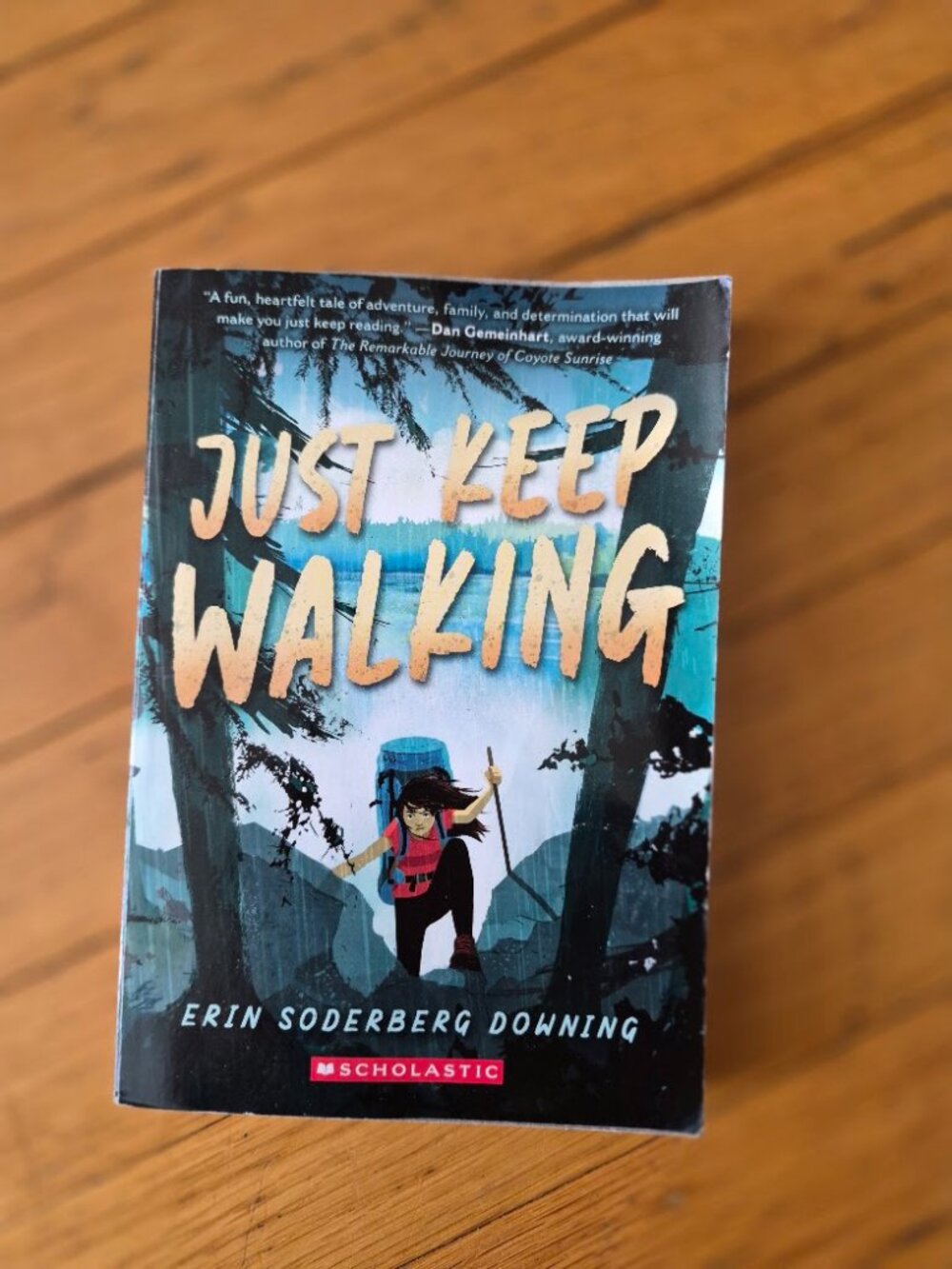 Just Keep Walking by Erin Soderberg Downing - Adventure Fiction Book